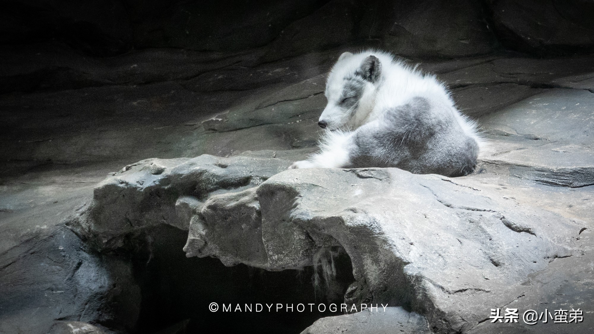 香港巡礼|是谁！敢拿水枪给20岁的海贼王庆生？