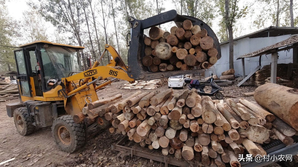 新农村创业适合做的几个生意项目,乡镇致富门路500条免费阅读