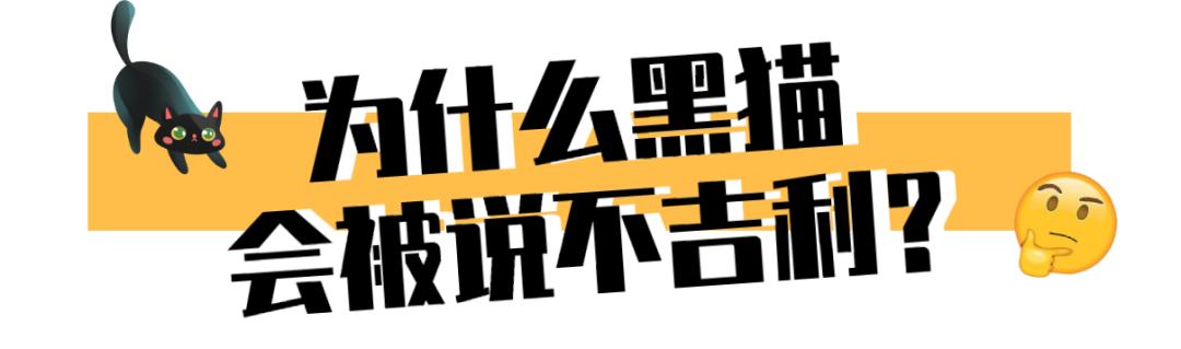 黑猫不吉利是谁说的,黑猫不吉利是真的吗