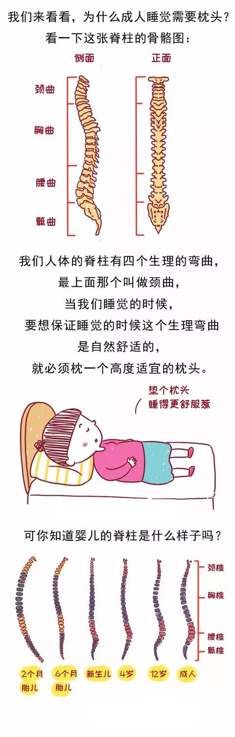 宝宝多大可以用枕头15个月,宝宝多大可以用小枕头