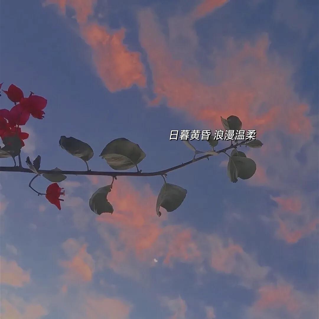 壁纸背景图片伤感,聊天背景壁纸图片伤感