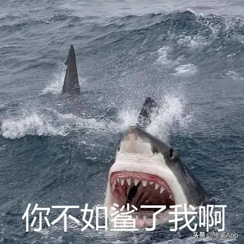 挤痘一定要挤出血吗,徒手挤了痘痘怎么办