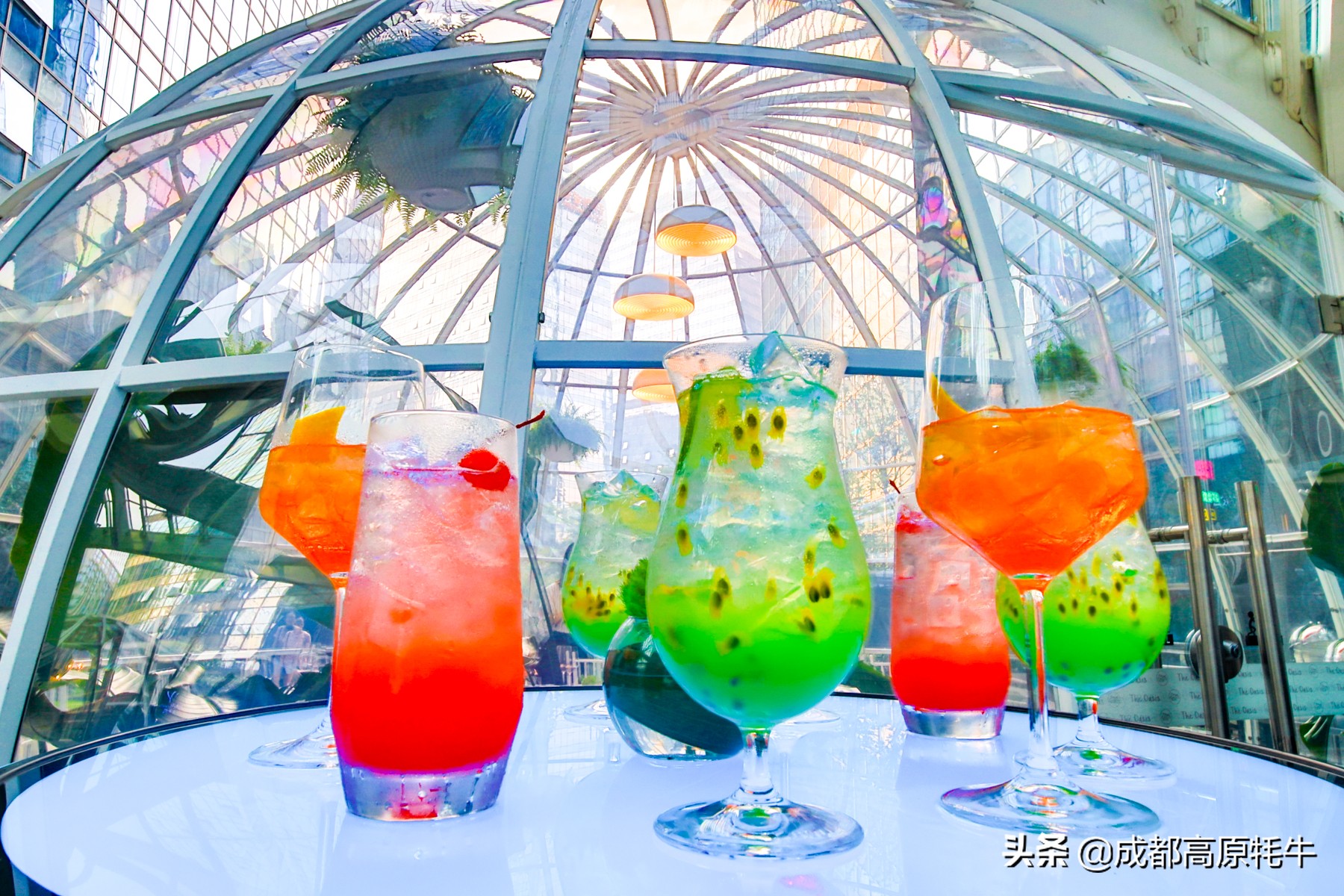 theoasistavern绿洲,theoasis清迈