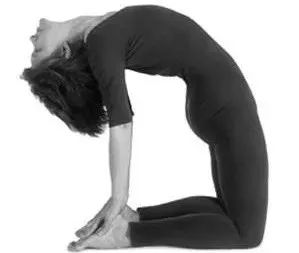 瑜伽22个经典欣赏,瑜伽28个经典动作跟练