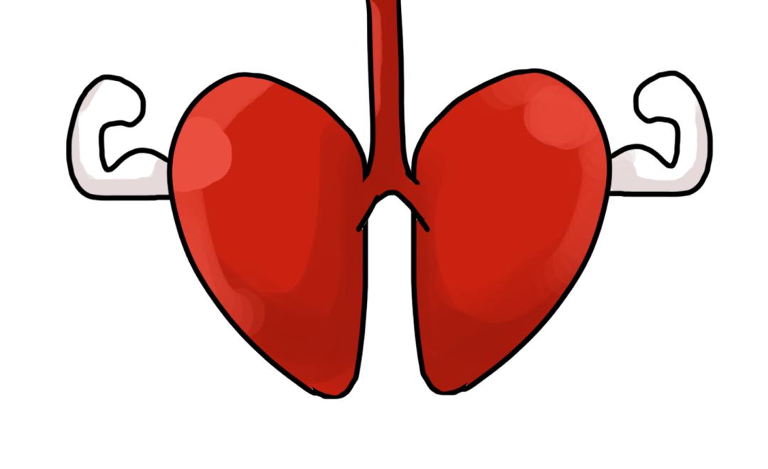 肝癌免疫治疗会出现afp升高吗 (肝癌抗肿瘤药的不良反应有哪些)