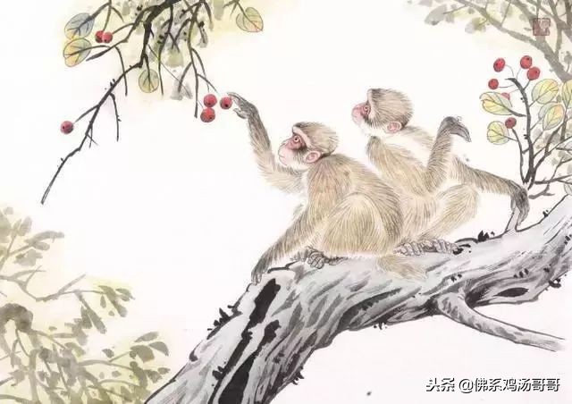 2019年运气好的属相,属相在2019年的运势