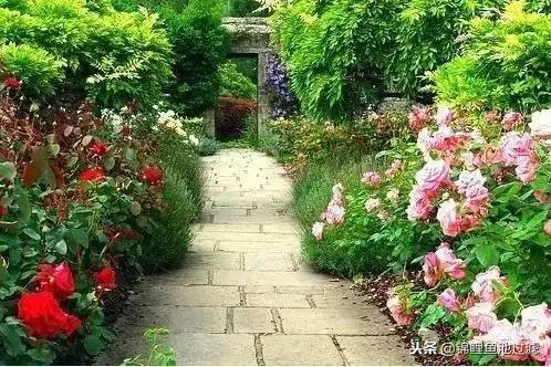 园林景观设计知识干货图,精品园林景观设计建造杂记
