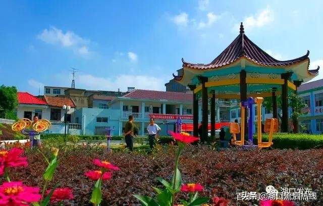 湖口这个乡美出了名,湖口美丽田园