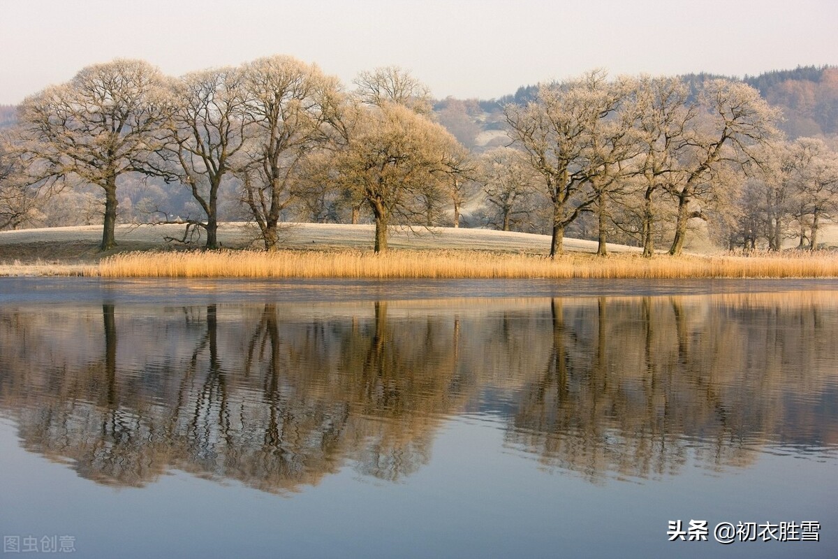 清丽早冬美诗五首赏读:杨柳不知秋已远,可怜冬景似春华