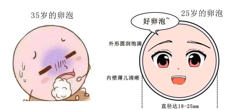 生育能力评估怎么检查,想要生个孩子怎么调理身体