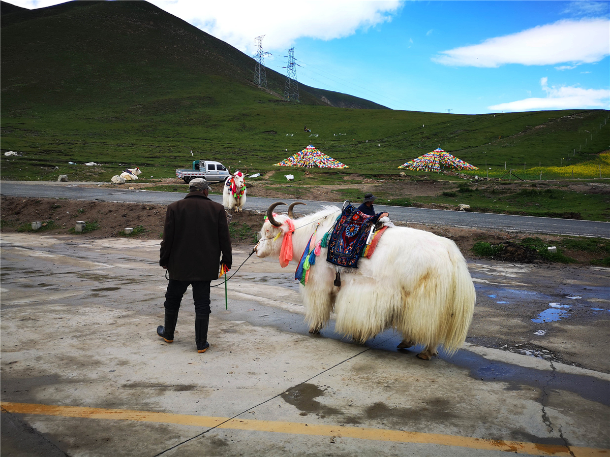 澳睿跑户外,德令哈到日月山