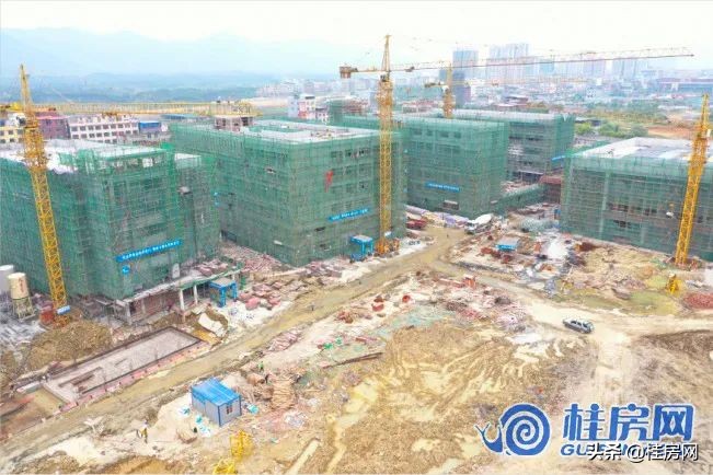 临桂买房板块分析,灵川临桂哪个楼盘最好