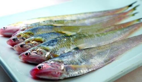 鱼翅燕窝中国的“顶级食材”？这6种才是佼佼者，吃不起过过眼瘾