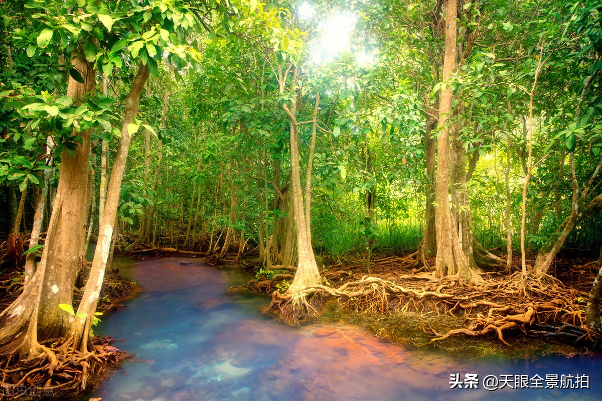 三日游最佳路线广东三日游,广东2-3天旅游攻略三日游