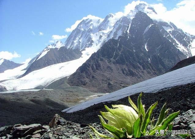 乾隆皇帝赐名,乾隆帝给新疆阜康取名吗