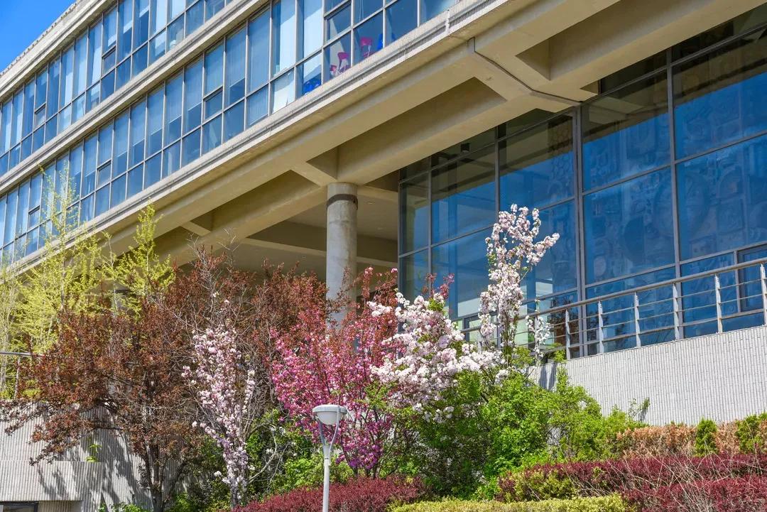 辽宁大学和鲁迅美术学院,辽宁省鲁迅美术学院是985吗