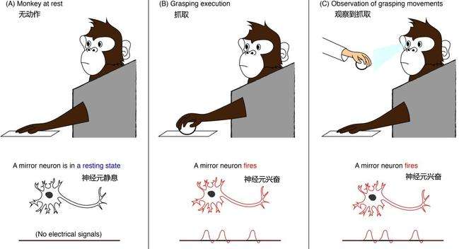 了解情绪的源头,你才能真正懂人性,才能真正调动智慧