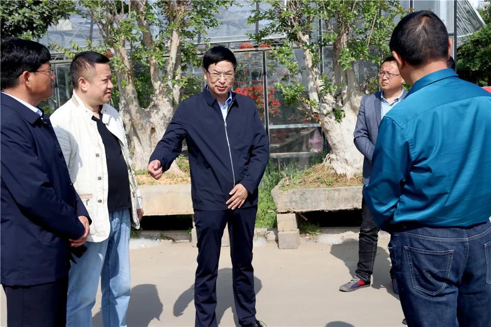 宿迁市沭阳县沭阳国际花木城,沭阳国际花木城布局