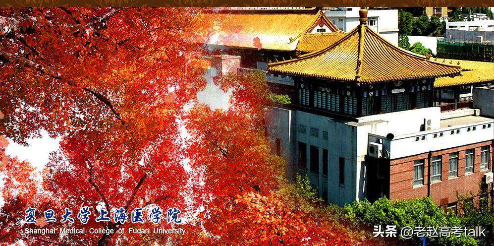 医学界南北双雄是哪几个,南北医学双雄哪家好