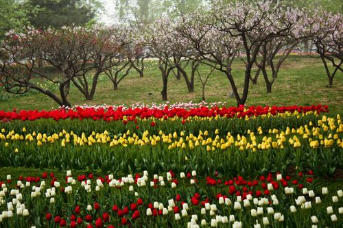 不出郑州旅游攻略,郑州五一游玩公园推荐