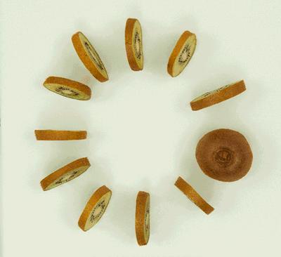 当中草药遇上二十四节气,大雪中的猕猴桃