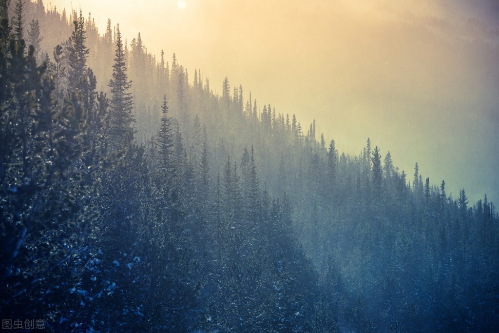苹果和它搭配是绝配,苹果和它煮一锅止咳润肺