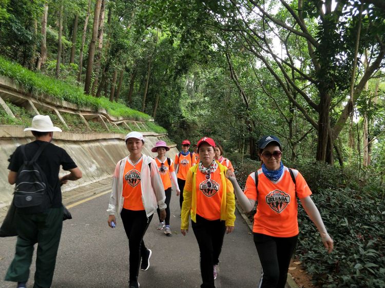 520，别样塘朗山！六约微马2019我们一起走第十二站塘朗山