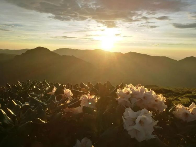 这座低调的小城,凭什么跻身云南6大国家历史文化名城之列?