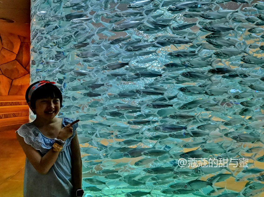 三亚亚特兰蒂斯攻略自由行五天,三亚七天自由行攻略亚特兰蒂斯