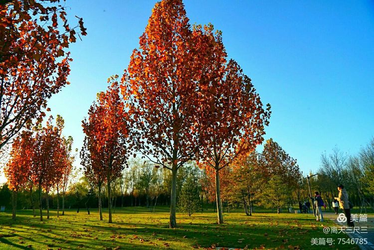 玉泉山北坞公园介绍,北坞村玉泉山