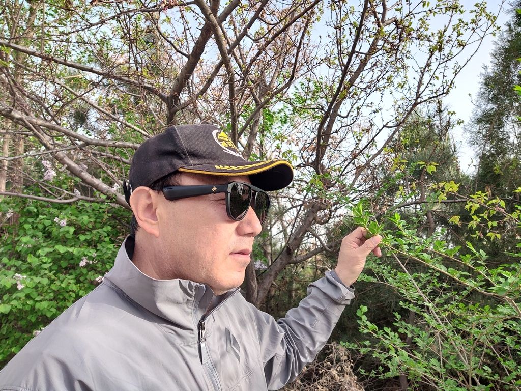 海伦凯勒太阳镜一镜两用,海伦凯勒太阳镜和暴龙太阳镜