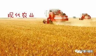 安徽最富的区排名,安徽最富的城市排名