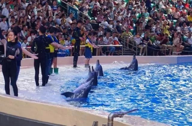 珠海高铁站到长隆海洋王国,珠海长隆海洋王国海底世界