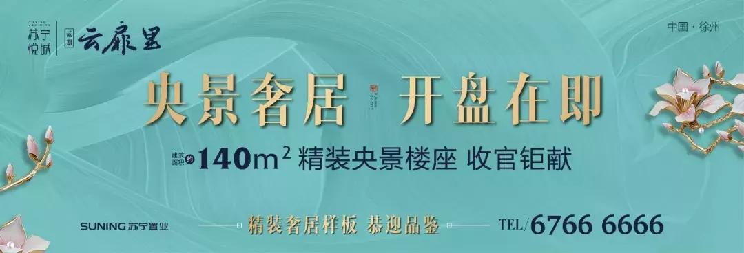 徐州升级改造,徐州未来对九里湖片区的规划