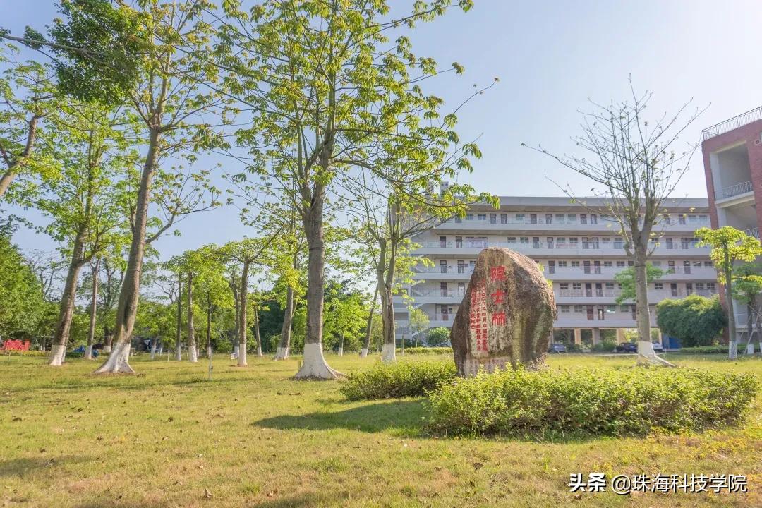读一所校园环境和学习氛围全方位一流的大学是什么体验？