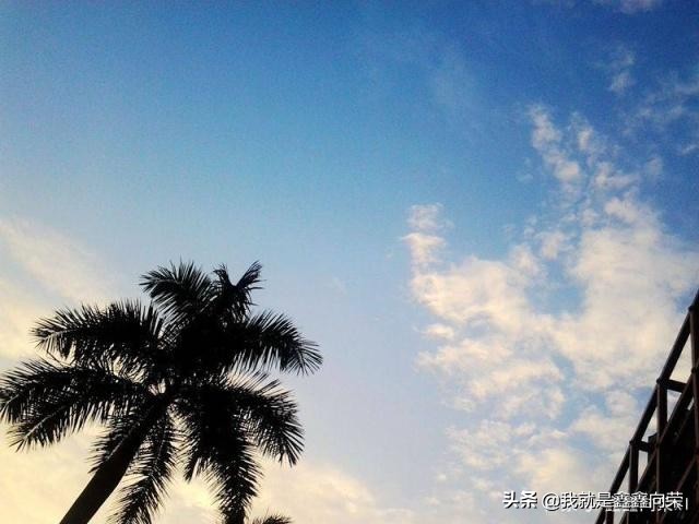 身为一个巨蟹为什么会自恋,身为巨蟹男是什么感觉