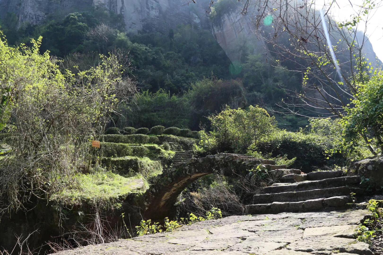 温馨提示购买方法,旅游预约温馨提示