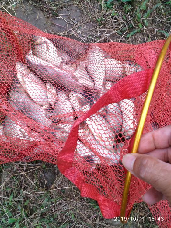 本汀宗师典藏版,本汀宗师完整视频