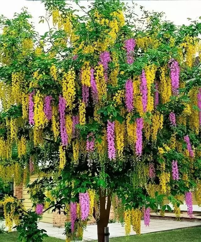 三亚海边人像摄影作品欣赏,世界旅游摄影作品欣赏