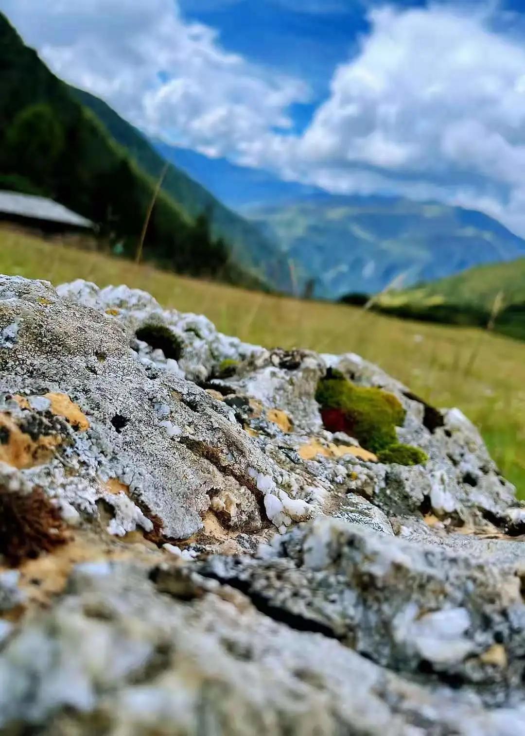 学党史办实事百名中医下基层,医院学党史办实事