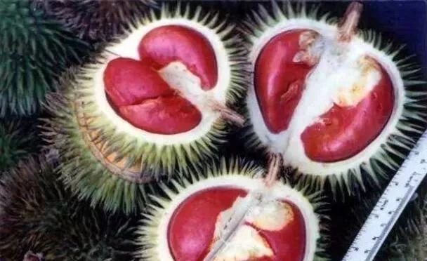 东南亚9大奇葩水果，第3个在中国是爆款！