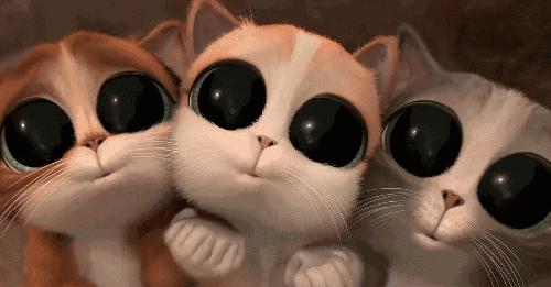 糜烂性胃炎久治不愈怎么回事,糜烂性胃炎久治不愈怎么办