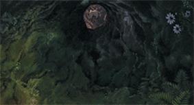 宫崎骏老爷爷笔下经典形象龙猫的原型居然是个鸟,WTF+问号脸