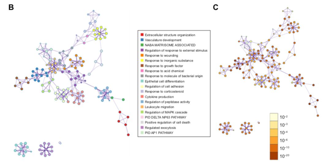 博士毕业神器3+分纯生信杂志：平均一审只要一个月，年刊量1000+