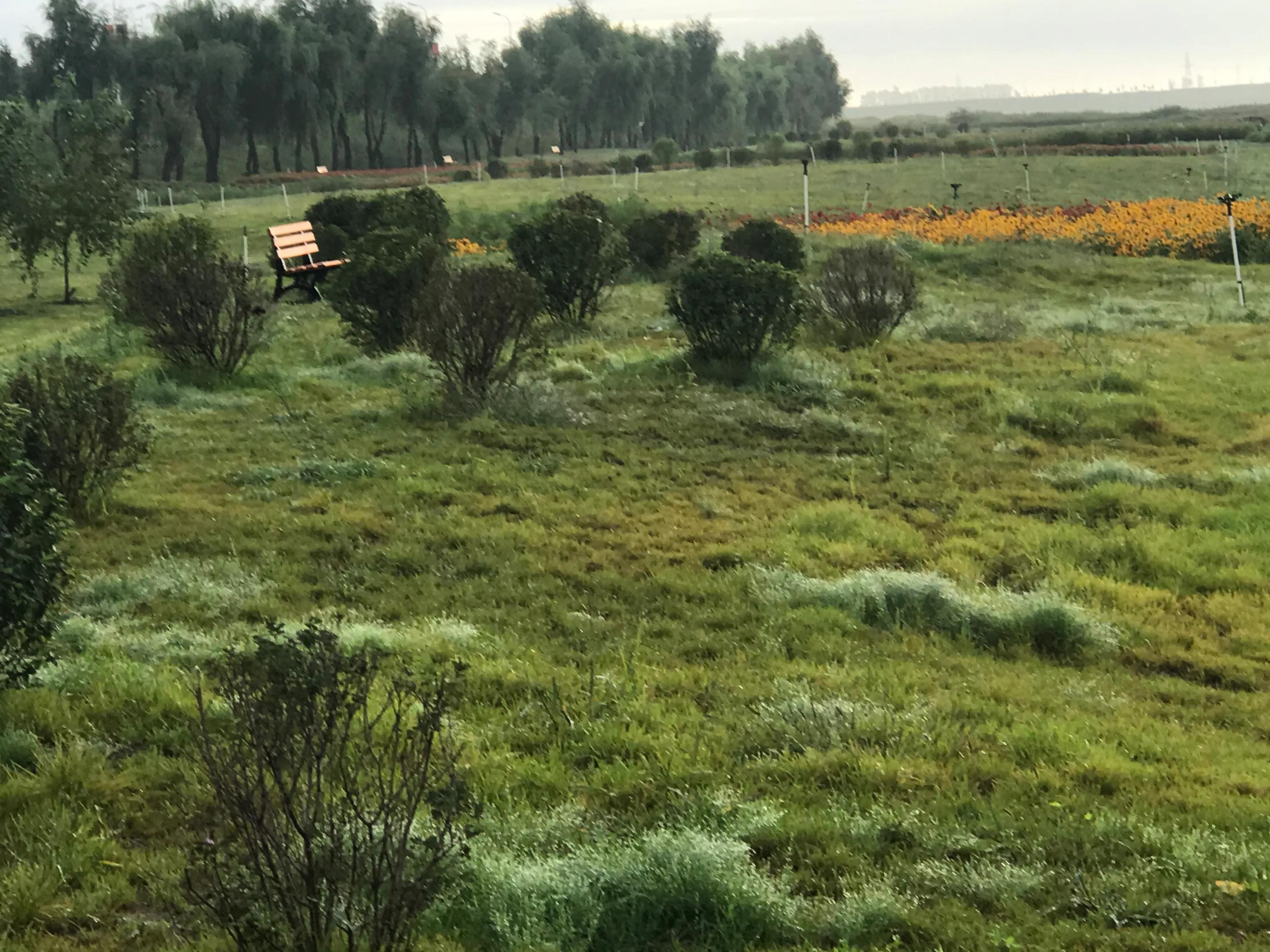 辉南街早市开了吗,辉南朝阳镇早市开门营业时间