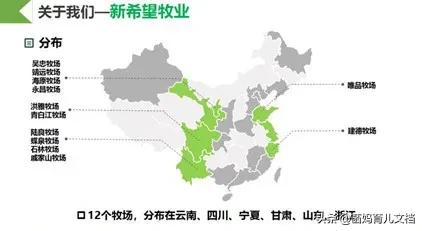 中国没有差评的奶粉,好的巴氏鲜奶