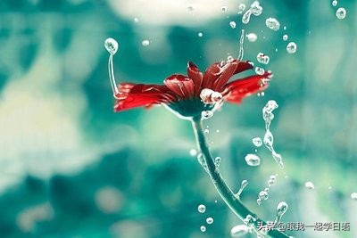 日语数词正确读法,日语符号大全和读法