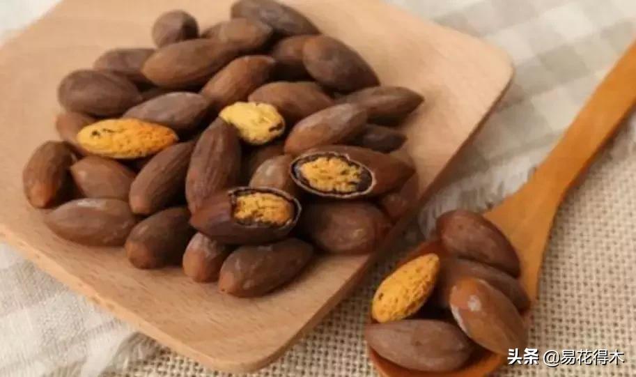 香榧、榧树的区别辨识与市场现状