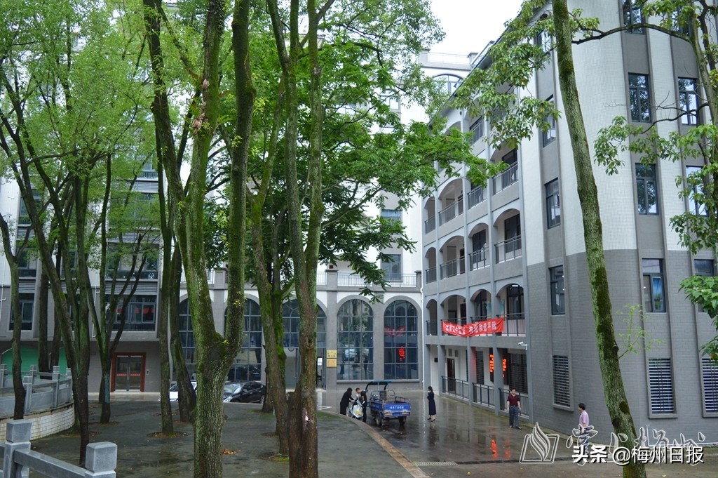 广东平远乡村振兴,广东梅州平远县发展