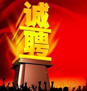 新湾街道编外工作人员招聘公告,各街道办人事代理岗招聘